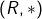 (R,\ast)
